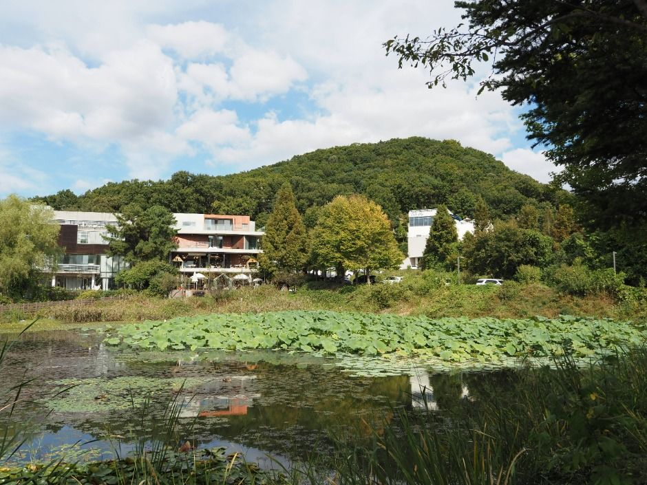 헤이리 예술마을