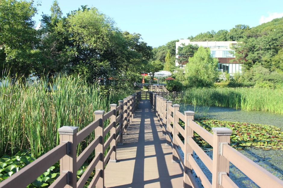 파주_헤이리 예술마을 (3)