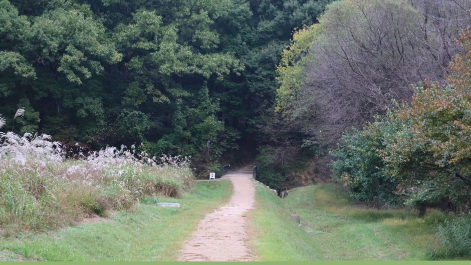융건릉_입구에서 재실을 지나 직진 후 억새밭