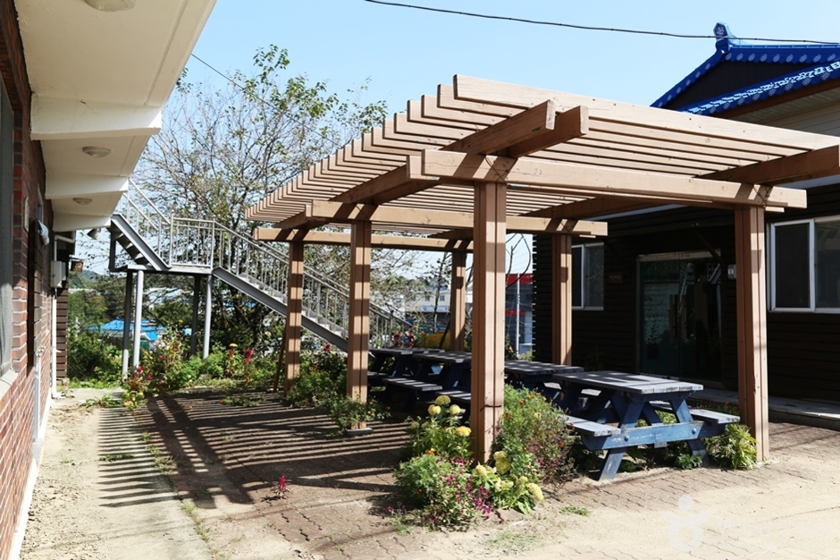 화성 은행나무마을 (12)