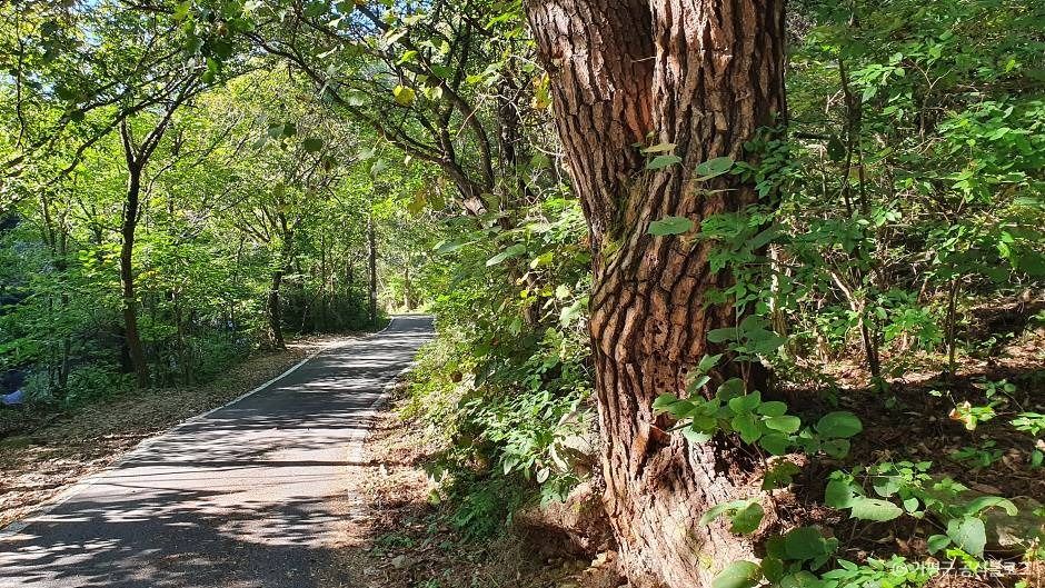 가평_화야산 (7)