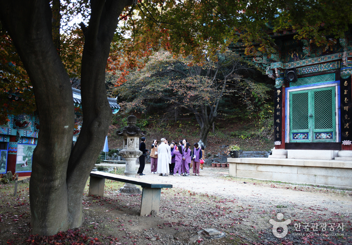 경기_용인_템플스테이로 한국문화 알리는 푸른 눈의 이방인,드미트라 E. 게이츠 씨05