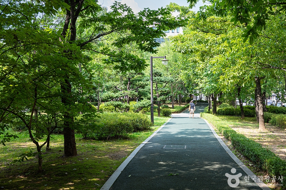 화정중앙공원 (2)