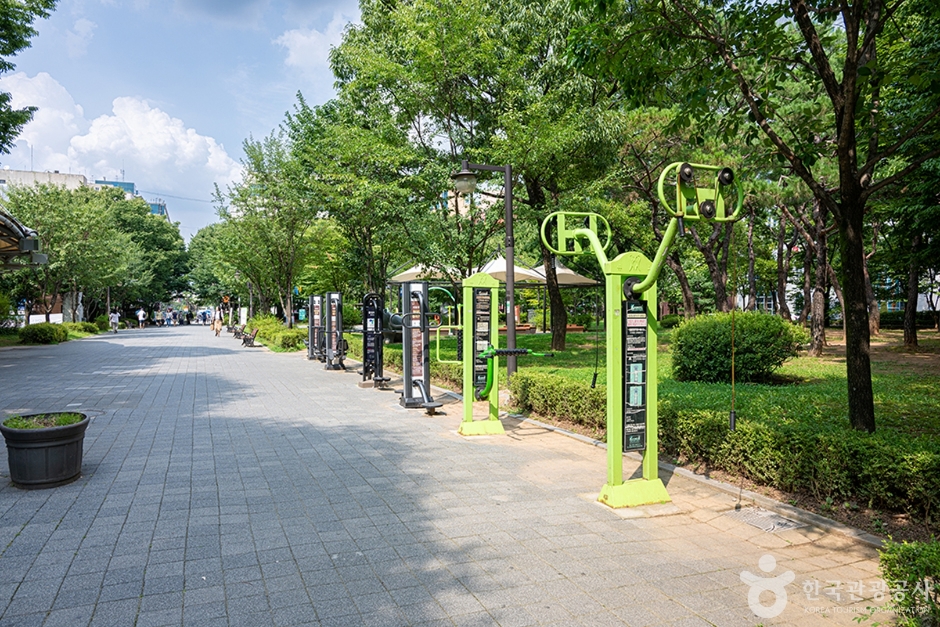 화정중앙공원 (5)