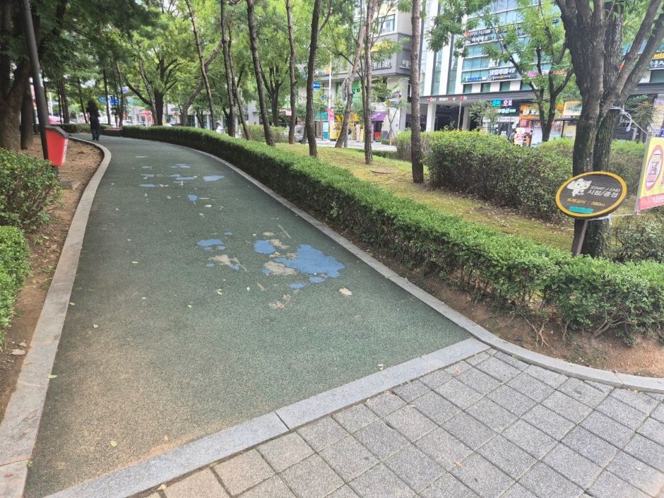 화정중앙공원 단차