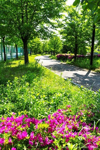 화성_화합공원 (7)