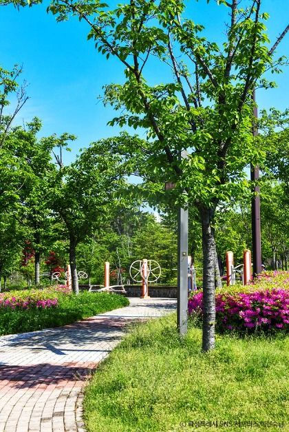 화성_화합공원 (10)