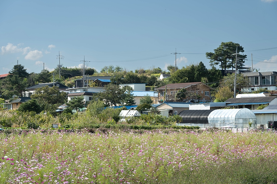 경기도_화성시_황계동 정조마을_마을 전경