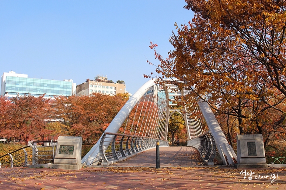 경기도_성남시_황새울공원_공원내교각