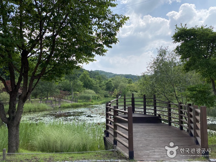 황학산수목원_6