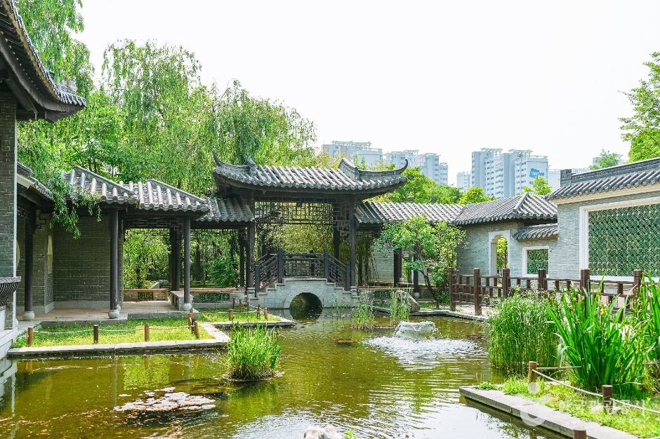 수원_효원공원 월화원 (1)