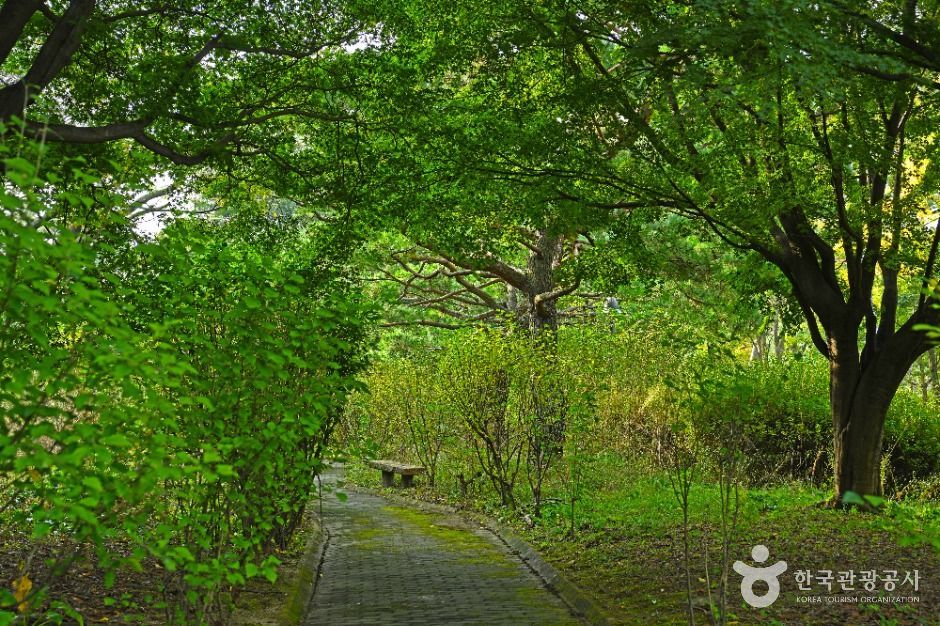 수원_효행공원 (3)