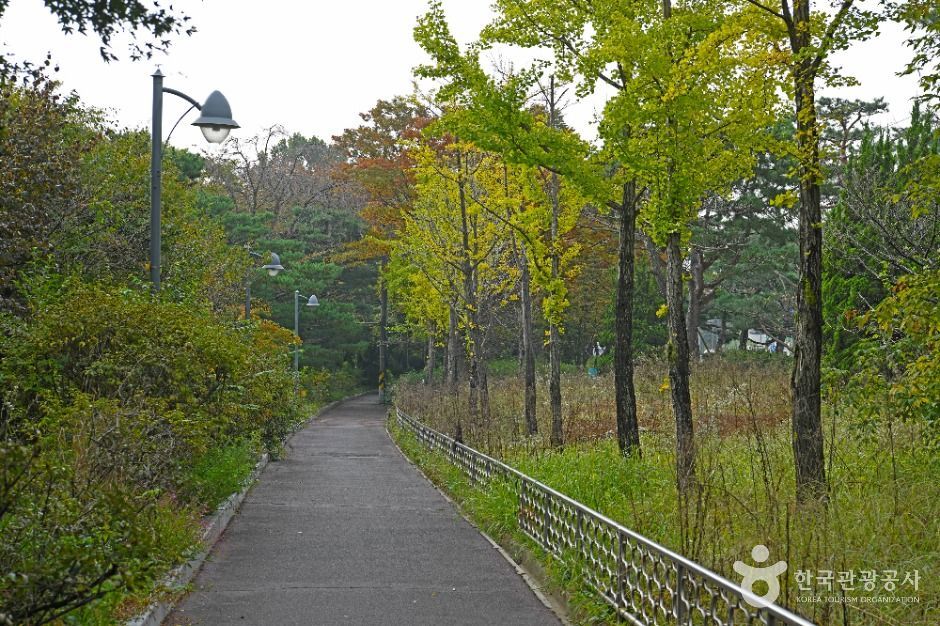 수원_효행공원 (5)