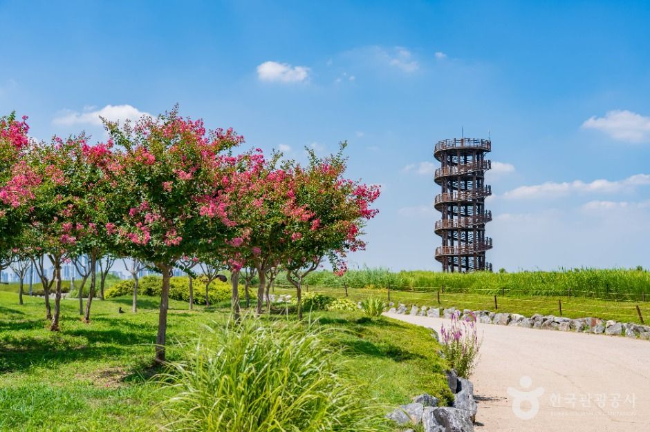 시흥_흔들전망대 (1)