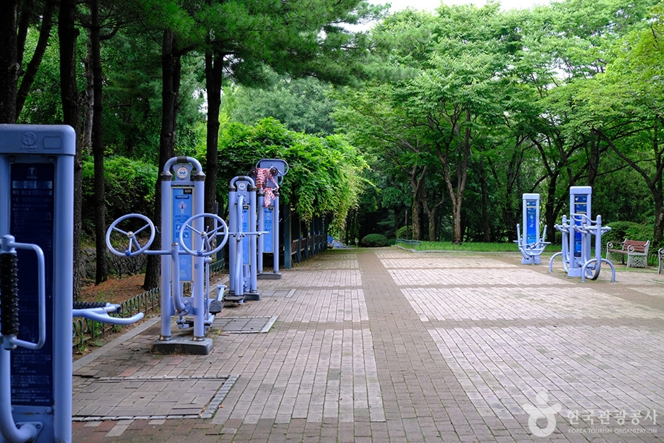 희망대공원 (15)