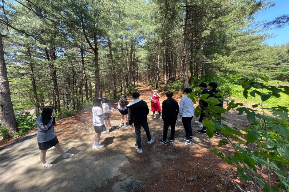 관광두레 주민사업체 경기도 포천 힐데루시 자연치유 2