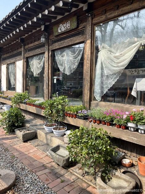 서울_국화정원 (2)