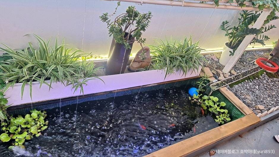 서울_[백년가게]장군숯불족발 (4)