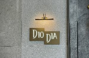 디오디아(DIODIA)