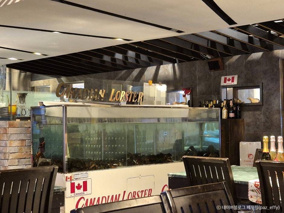 서울_카나디안 랍스터 (2)