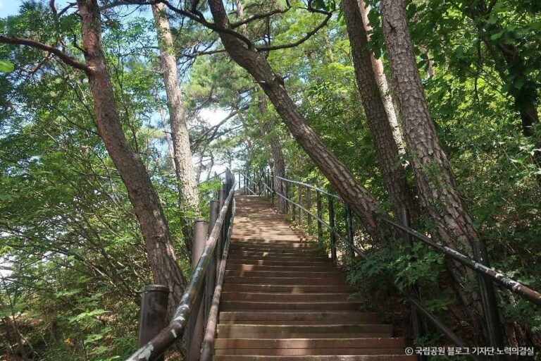 [충북] 칠보산(괴산)