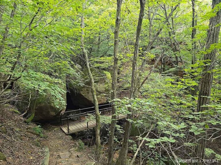 [충북] 속리산국립공원(충북)
