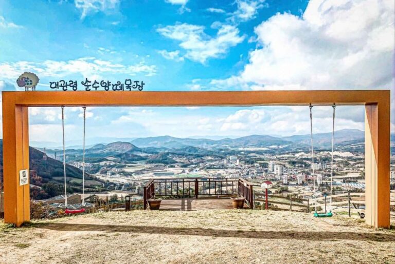 [강원] 순수 양떼목장