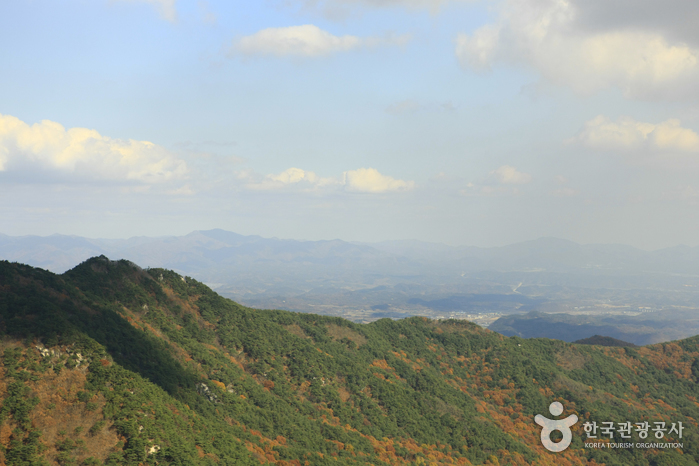 [대구] 팔공산국립공원(군위군)