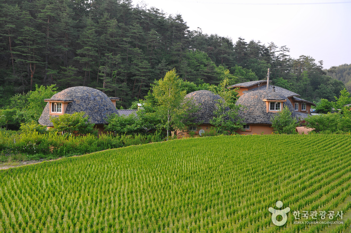 [강원] 마암터마을