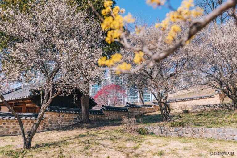 [대전] 대전 회덕 동춘당