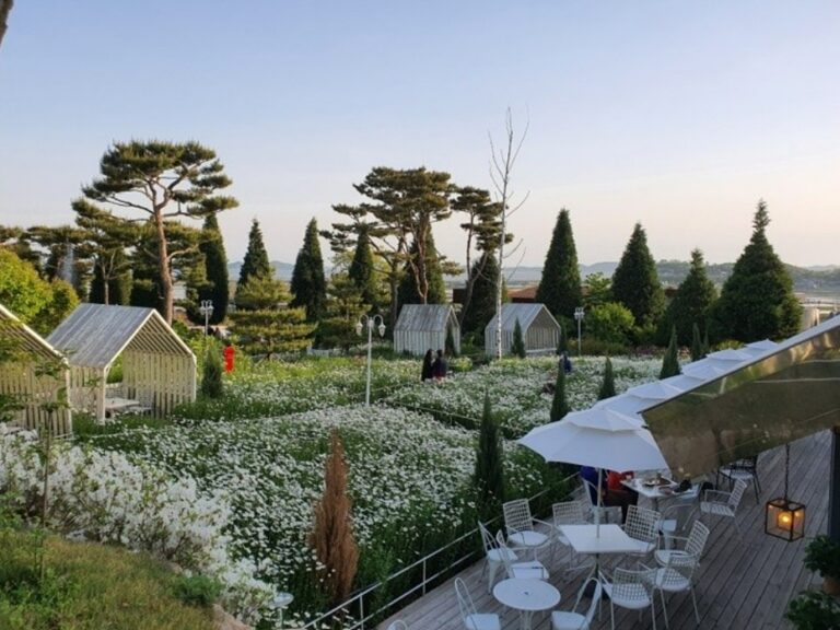 [인천] 마호가니 강화점