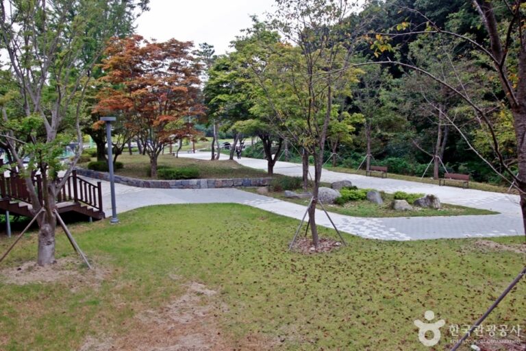 [대전] 세천공원