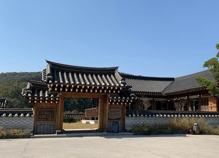 [인천] 드리우니