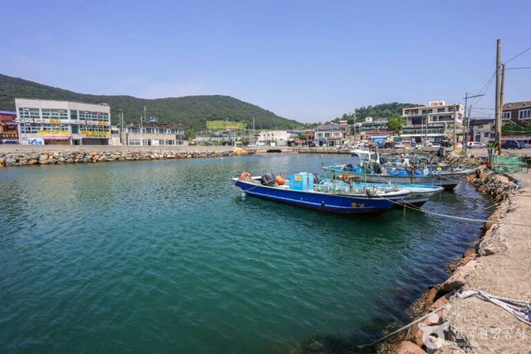 [부산] 월전포구(월전방파제)