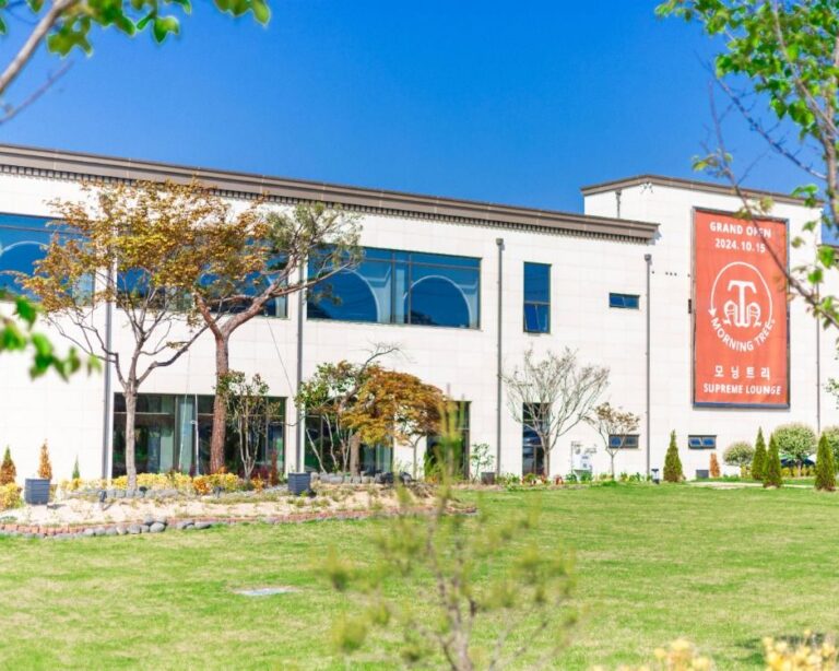 [대전] 모닝트리