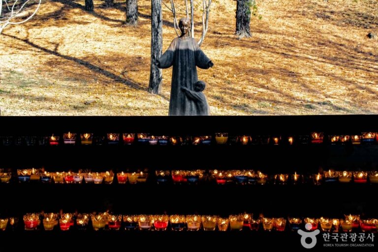 [경기] 남양성모성지