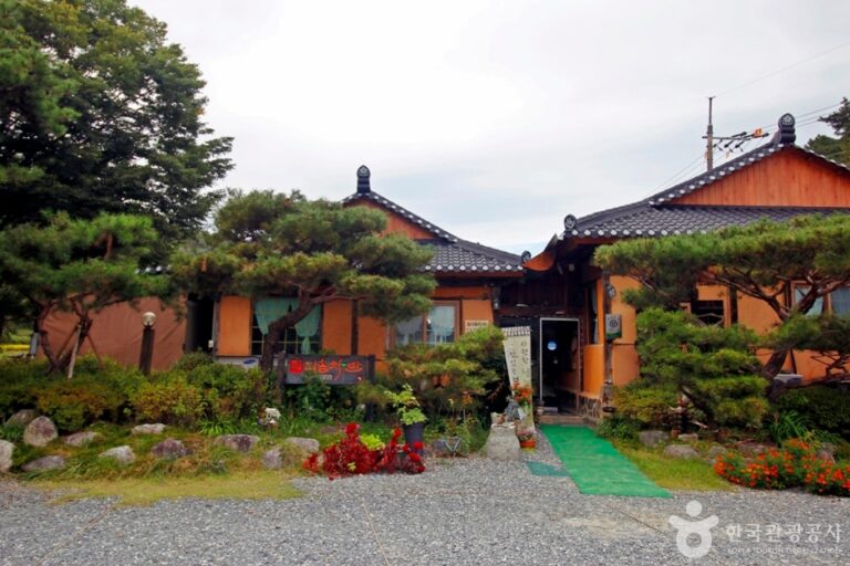 [대전] 다솜차반