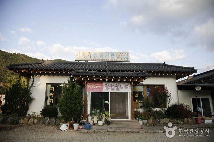 [대구] 기러기농장가든