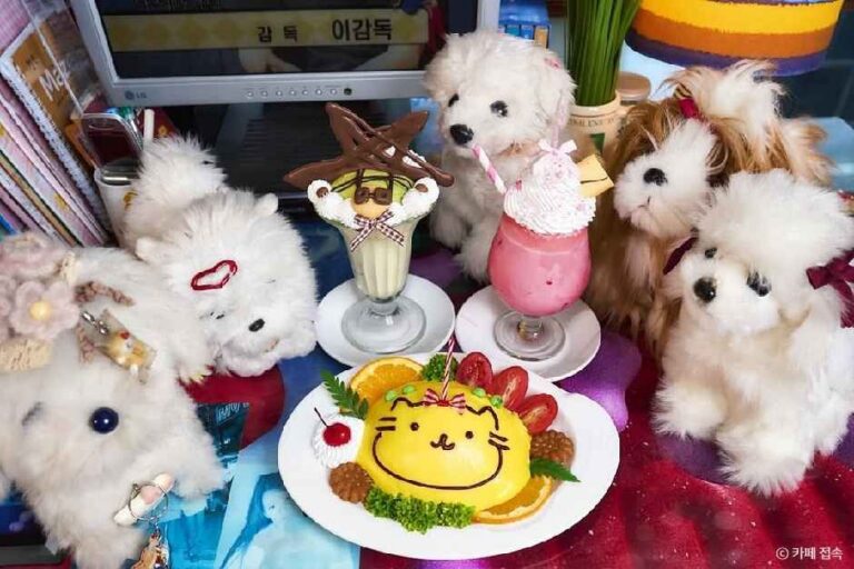 [대구] 카페 접속