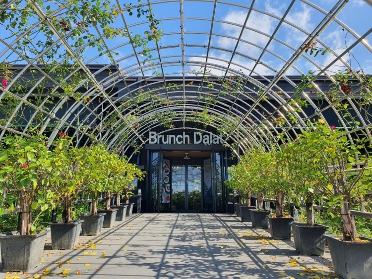 [대구] 브런치달랏