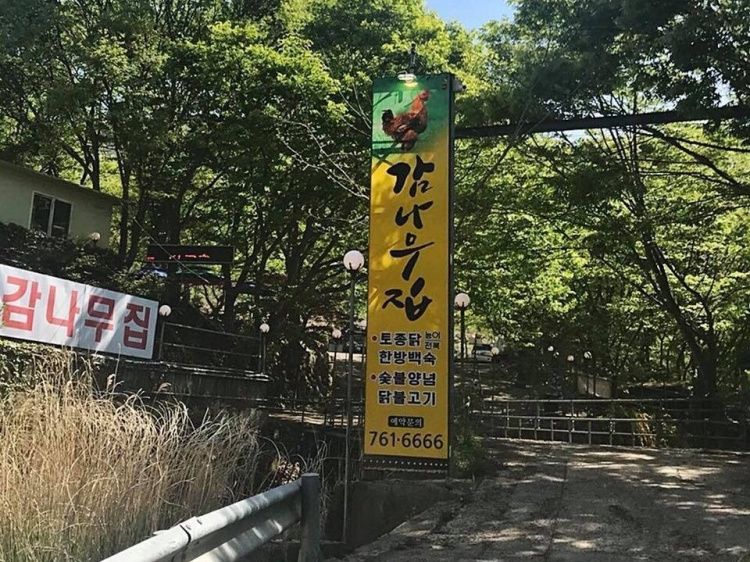 [대구] 감나무집