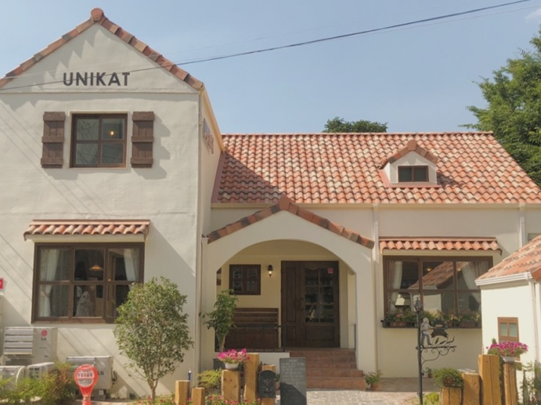 [대구] 우니카트