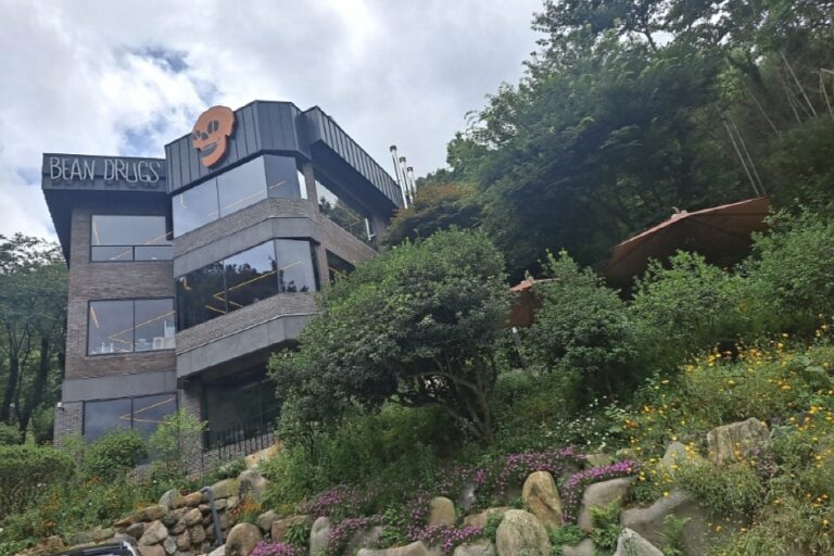 [광주] 빈드럭스