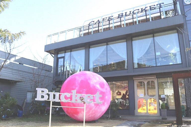 [광주] 버킷문리버