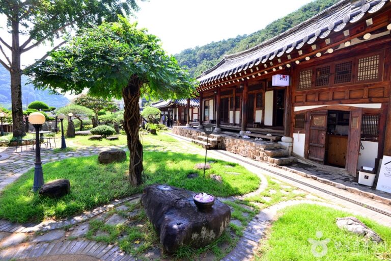 [광주] 꽃피는춘삼월