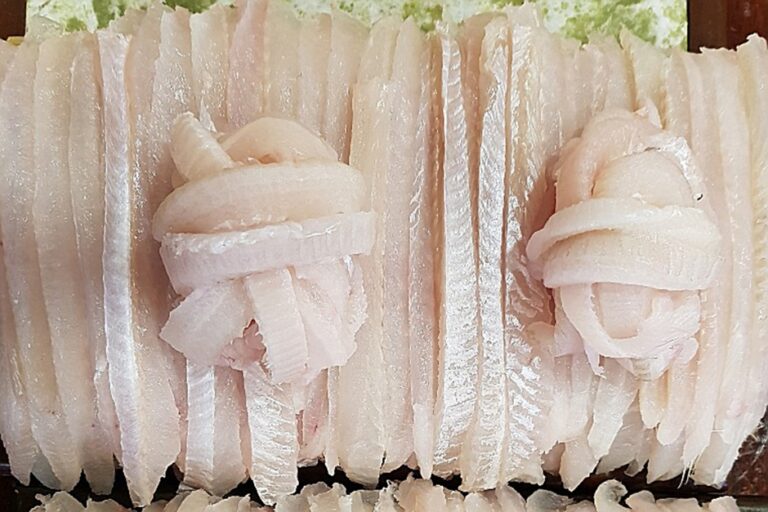 [부산] 감포참가자미