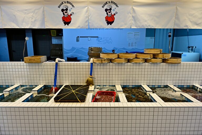 [부산] 시즌 조개구이