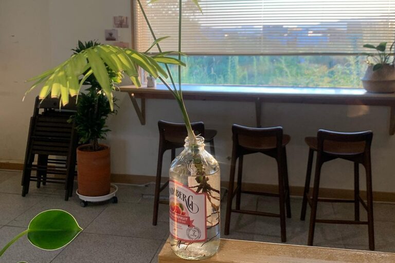 [부산] 한그루양과점