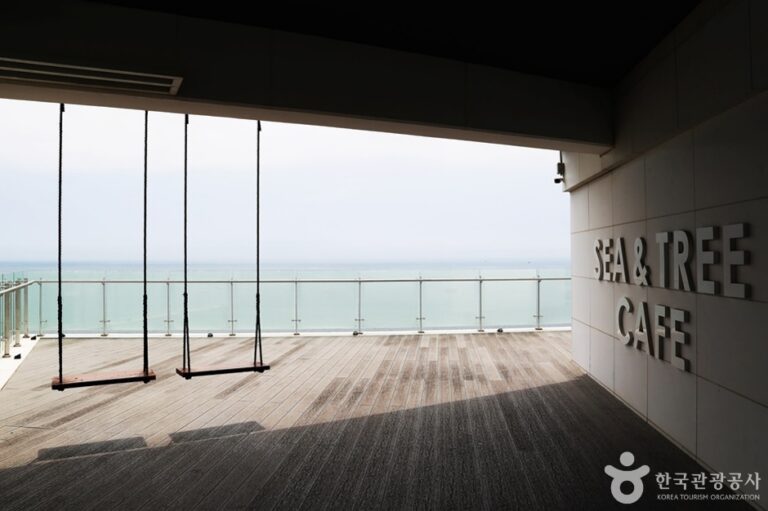 [부산] 씨앤트리 카페