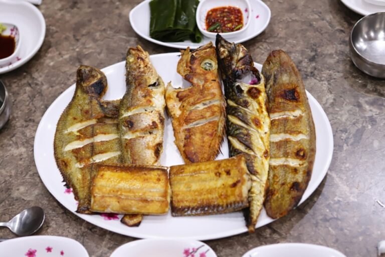 [울산] 착한물고기